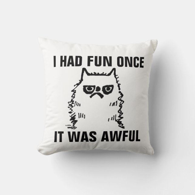 Funny Grumpy Cat Kissen, HATTE EINMAL GEFUNDEN Kissen (Vorderseite)