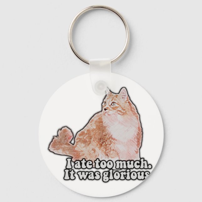 Funny grumpy cat meme für Katz- und Kitesurfer Schlüsselanhänger (Vorderseite)