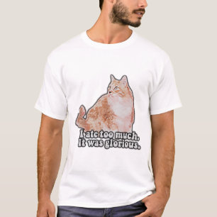 Funny grumpy cat meme für Katz- und Kitesurfer T-Shirt