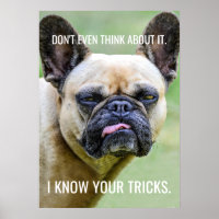 Funny Grumpy French Bulldog I Kennen Ihre Tricks