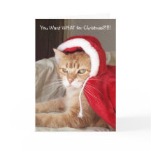 Funny Grumpy Ginger Cat Christmas Card Spaß