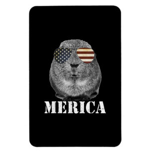 Funny Guinea Pig Merica Patriotic Usa Flaggenbrill Magnet