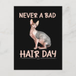 Funny Hairless Cat Sphynx Hair Spaß Postkarte<br><div class="desc">Funny Frisör Katzenhaar Sphynx Haare Spaß.</div>