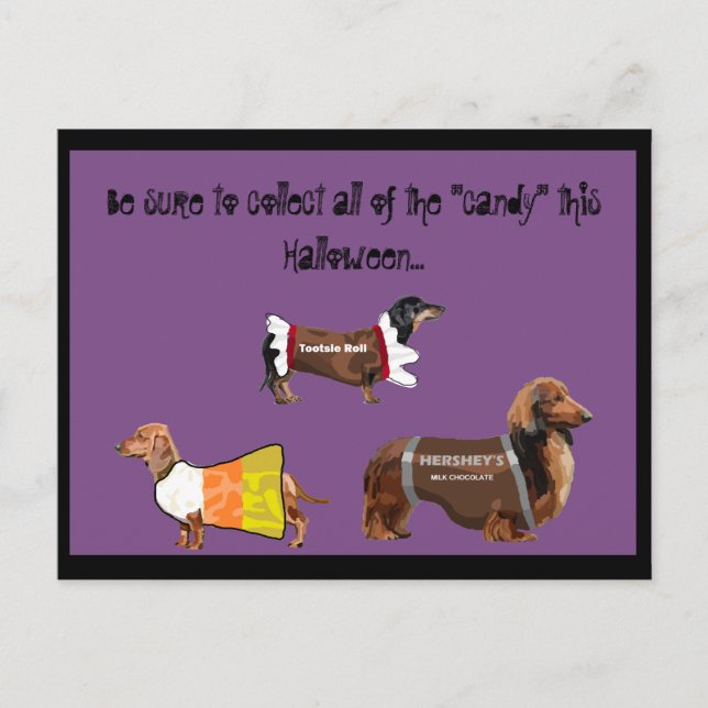 Funny Halloween Collect Candy Hunde Postkarte (Vorderseite)