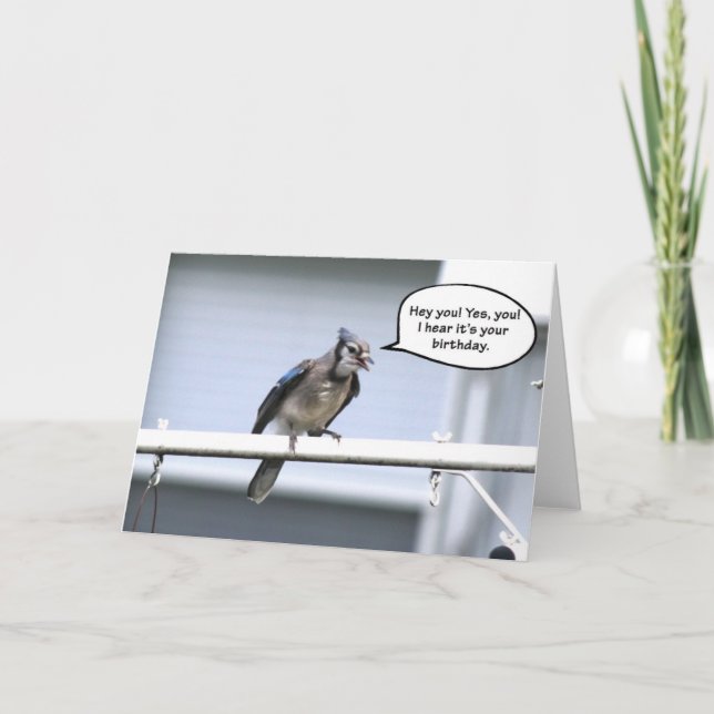 Funny Happy Birthday card - Blue Jay carte d'anniv (Devant)