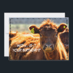 Funny Happy Birthday Country Mail Tales aus dem Ba Feiertagskarte<br><div class="desc">Wow, ist dein Geburtstag, wo ist der Kuchen! Karo zu meiner Gruß- und Urlaubskartenkollektion unter www.zazzle.com/basereality</div>