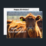 Funny Happy Birthday Country Mail Tales aus dem Ba Postkarte<br><div class="desc">Wow,  ist Ihr Geburtstag,  Karo meine Postkartenkollektion unter www.zazzle.com/basereality</div>