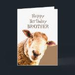 Funny Happy Birthday Ewe sind BEST BROTHER JE Karte<br><div class="desc">Funny Sheep Happy Birthday BROTHER Ewe ist die beste BROTHER je Humour Card</div>