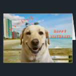 Funny Happy Birthday Labrador Hund am Strand<br><div class="desc">Diese "Life's a beach" Glückliche Geburtstagskarte mit einem lächelnden Labrador und einem Bogen. Design von Inge Lewis. Weitere passende Produkte finden Sie im ingeinc.com-Shop | Boutique.</div>
