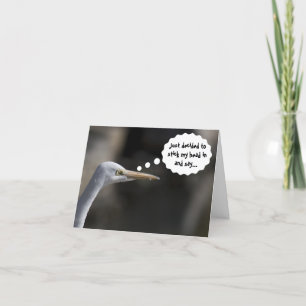 Funny Happy Birthday White Crane Bird Card Karte