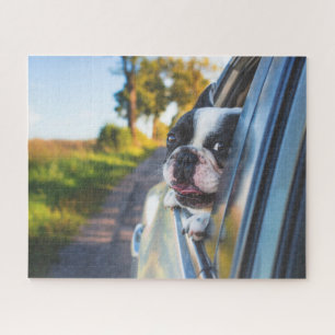 Funny Happy French Bulldog Dog Car Window