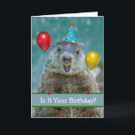 Funny Happy Geburtstag am Groundhog Day wieder Karte<br><div class="desc">Funny Happy Geburtstag am Groundhog Tag, Papier Grußkarte. Ist es dein Geburtstag? Wieder? Auf der Karte befindet sich ein Foto eines Grundhogs, das einen Geburtstagshut trägt und von einem roten und gelben Ballon flankiert wird. Passen Sie den Text vorne und innen an, wie Sie möchten, bevor Sie kaufen. Art, Bild...</div>