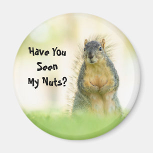 Funny, hast du meine Nacken-Eichhörnchen-Magnet g Magnet