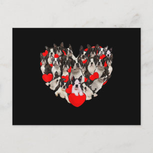 Funny Heart Love Boston Terrier Valentines Day Postkarte