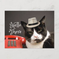 Funny Hello There Angry Black & White Cat