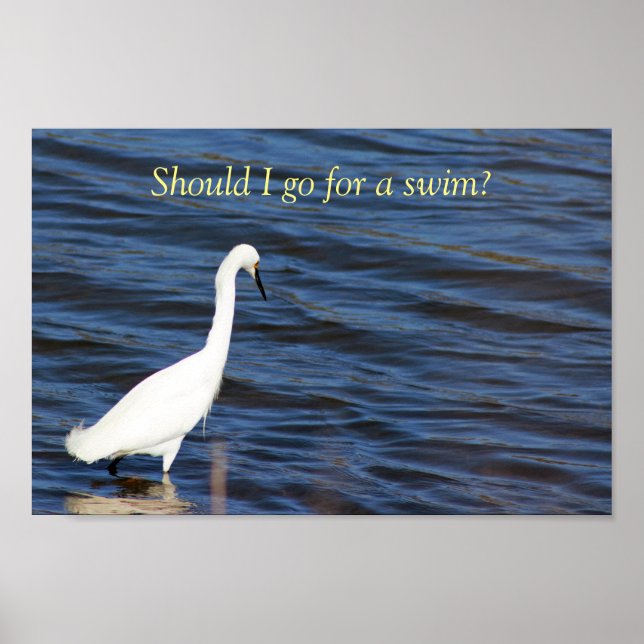 Funny Heron Poster (Vorne)