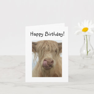 Funny Highland Cow Birthday Karte