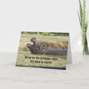 Funny Hippopotamus Geburtstag Gruß Karte