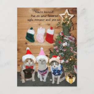 Funny Holiday Cats in Ugly Sweaters Einladungspostkarte