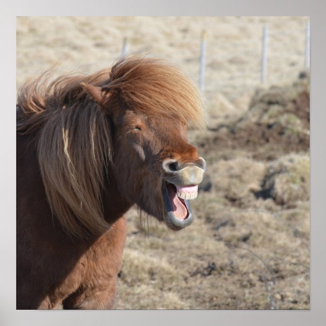 Funny Horaking Ein Albernes Gesicht Poster (Vorne)