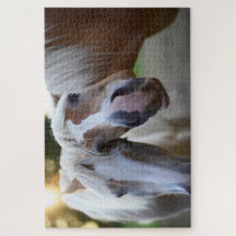 Funny Horends Friends