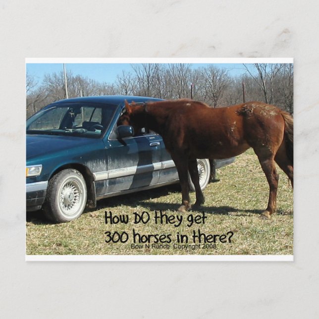 Funny Horse "300 Horse" Postkarte (Vorderseite)