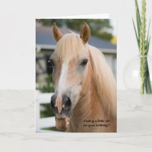 Funny Horse carte d'anniversaire sur la Vieille