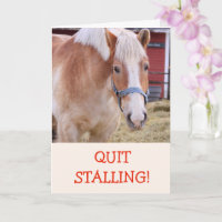Funny Horse Joke Pun Obtenir Bonne Carte