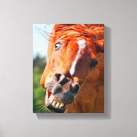 Funny Horse Laughing Fotografie