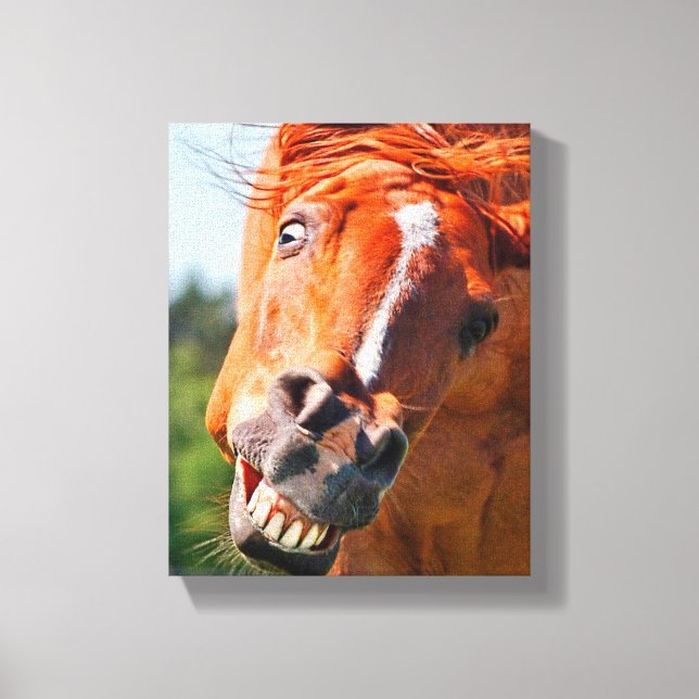 Funny Horse Laughing Fotografie Leinwanddruck (Vorderseite)