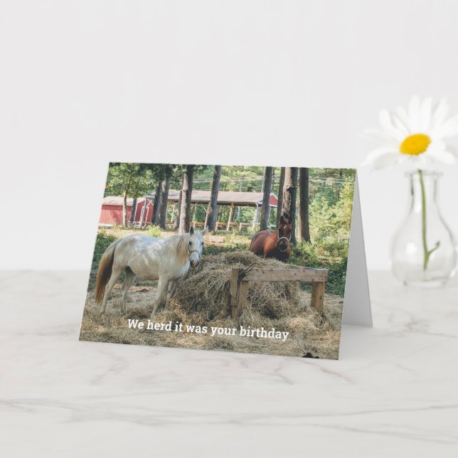 Funny Horse Lover Geburtstag Karte (Kleine Pflanze)