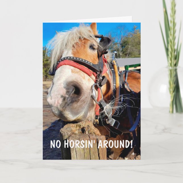 Funny Horse Pun Vatertag Karte (Vorderseite)