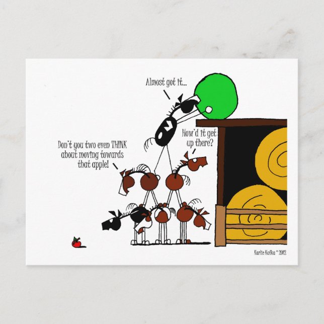Funny Horse Pyramid Cartoon Postkarte (Vorderseite)