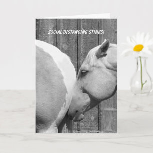 Funny Horse stinkt soziale Distanz Vermisst Sie Karte