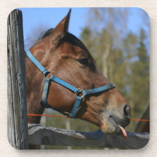 Funny Horse Untersetzer