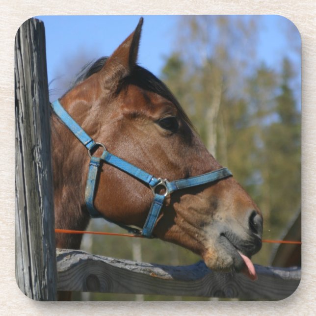 Funny Horse Untersetzer (Vorderseite)