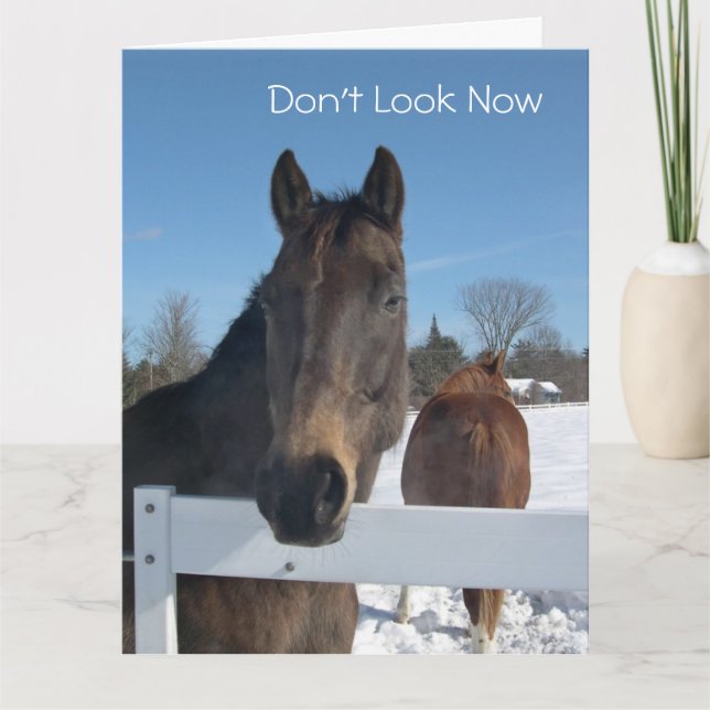 Funny Horses 50. Geburtstag von allen Karte (Vorderseite)
