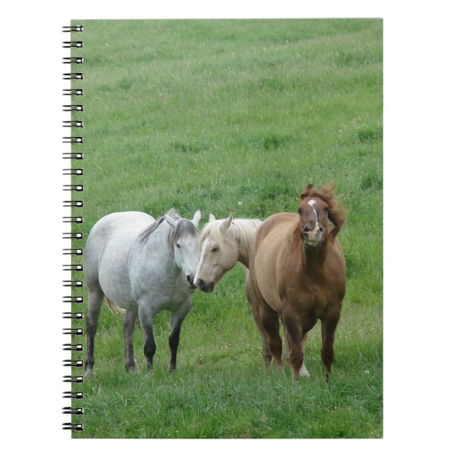 Funny Horses Notizblock (Vorderseite)