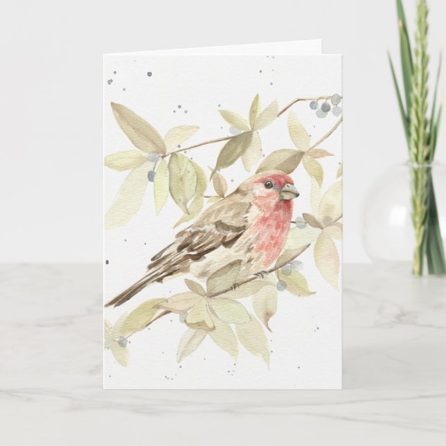 Funny - House Finch Bonne carte de voeux d'anniver (Devant)