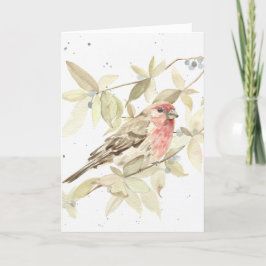 Funny - House Finch Happy Birthday Grußkarte Karte