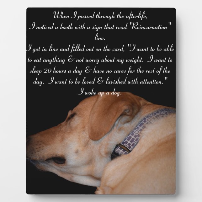 Funny Humour Sleeping Labrador Retriever Fotoplatte (Vorderseite)