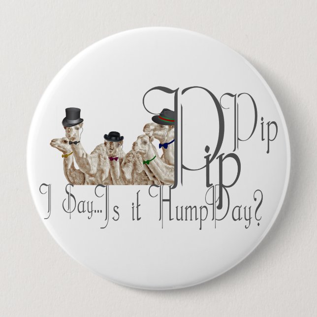 Funny Hump Day Camels in Monocles Button (Vorderseite)