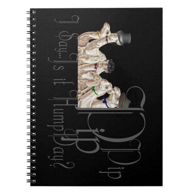 Funny Hump Day Camels in Monocles Notizblock (Vorderseite)