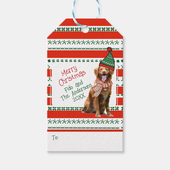 Funny Hund in Elf Hat & Scarf Red Green Weihnachte Geschenkanhänger (Vorderseite)