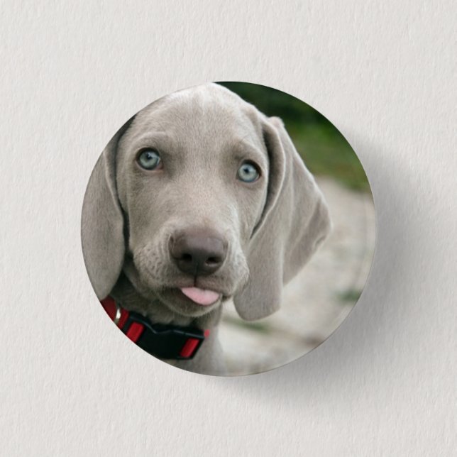 Funny Hund klebt Zunge-Out-Foto Button (Vorderseite)