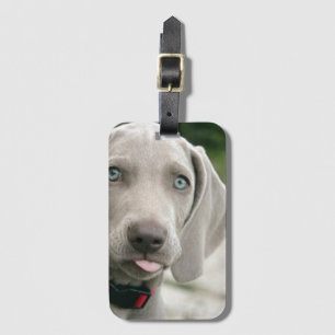 Funny Hund klebt Zunge-Out-Foto Gepäckanhänger