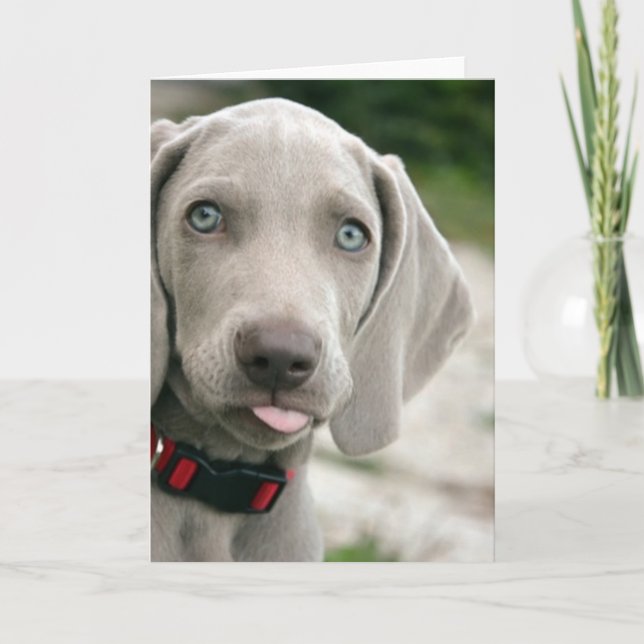 Funny Hund klebt Zunge-Out-Foto Karte (Vorderseite)
