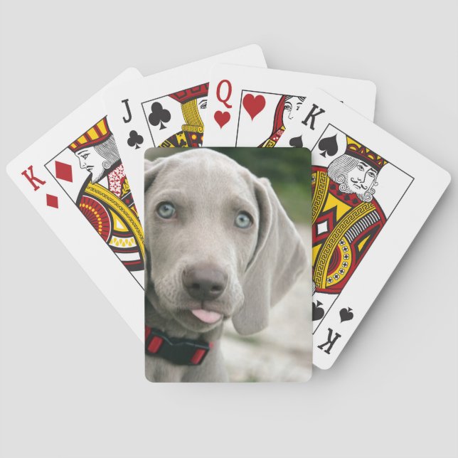 Funny Hund klebt Zunge-Out-Foto Spielkarten (Rückseite)