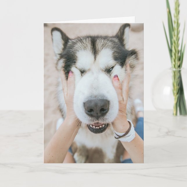 Funny Husky Dog Birthday Card Karte (Vorderseite)