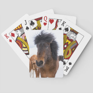 Funny Icelandic Horse Portrait Spielkarten